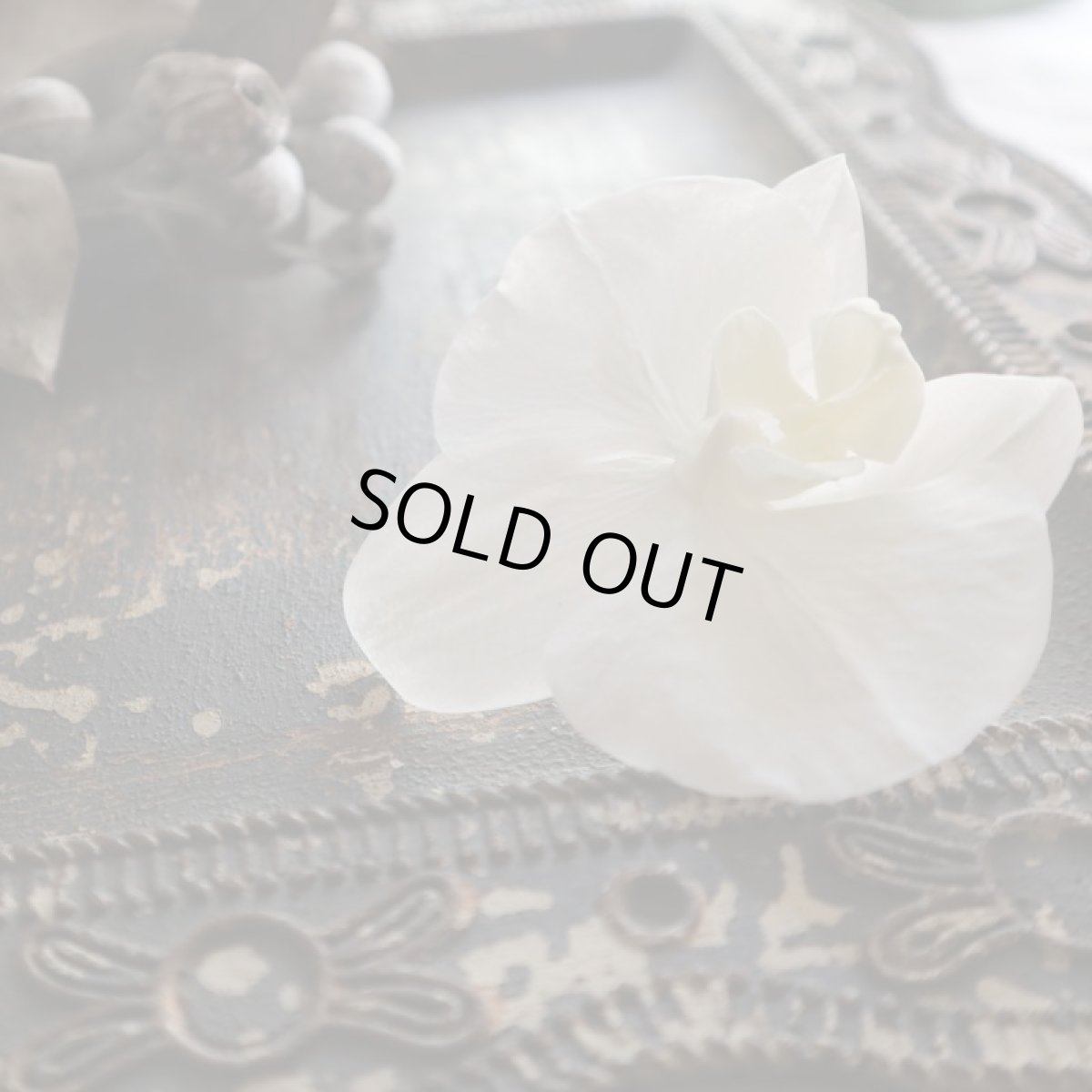 メインの胡蝶蘭はホワイトになります。