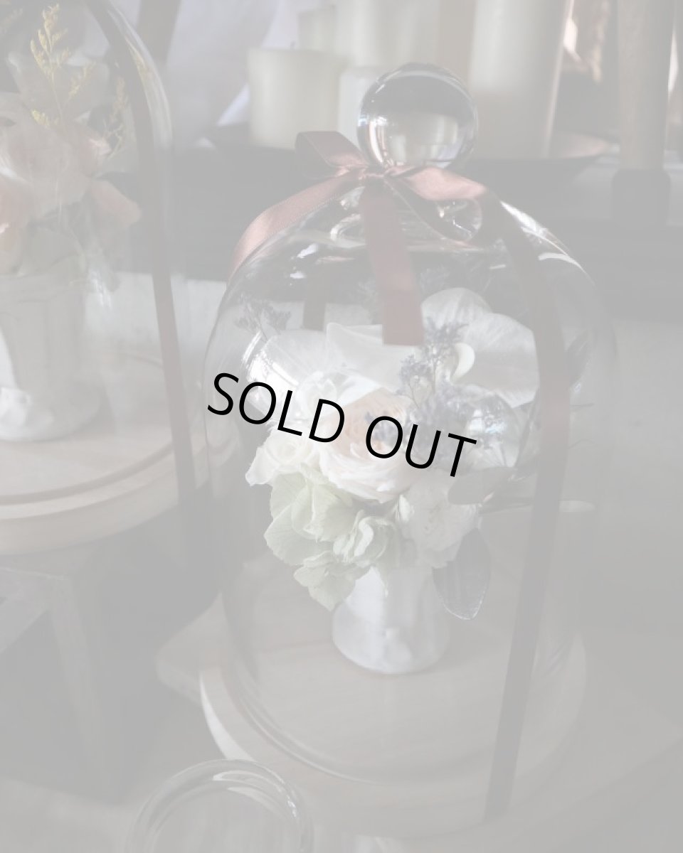 画像4: Preserved flower |コチョウランを使ったアレンジ Emma【ガラスドーム】 (4)