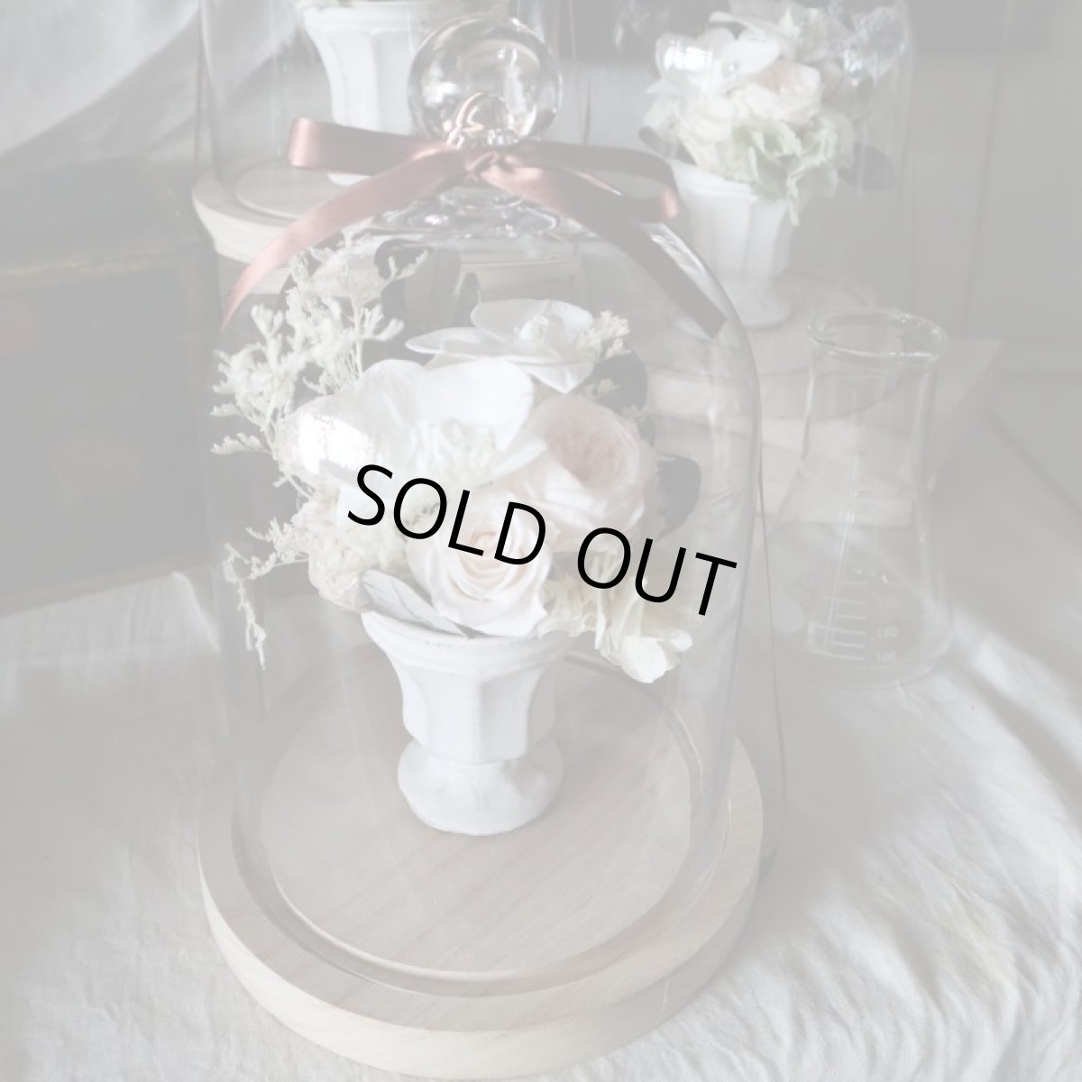 画像3: Preserved flower |コチョウランを使ったアレンジ Emma【ガラスドーム】 (3)