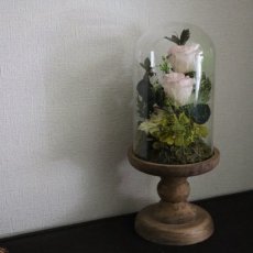 画像5: Preserved flower |ローズガーデンを贈ります【ガラスドーム】 (5)