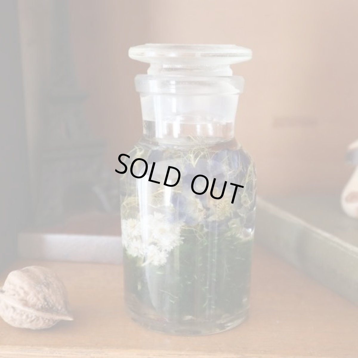 ガラスのメディスンボトルの中に森