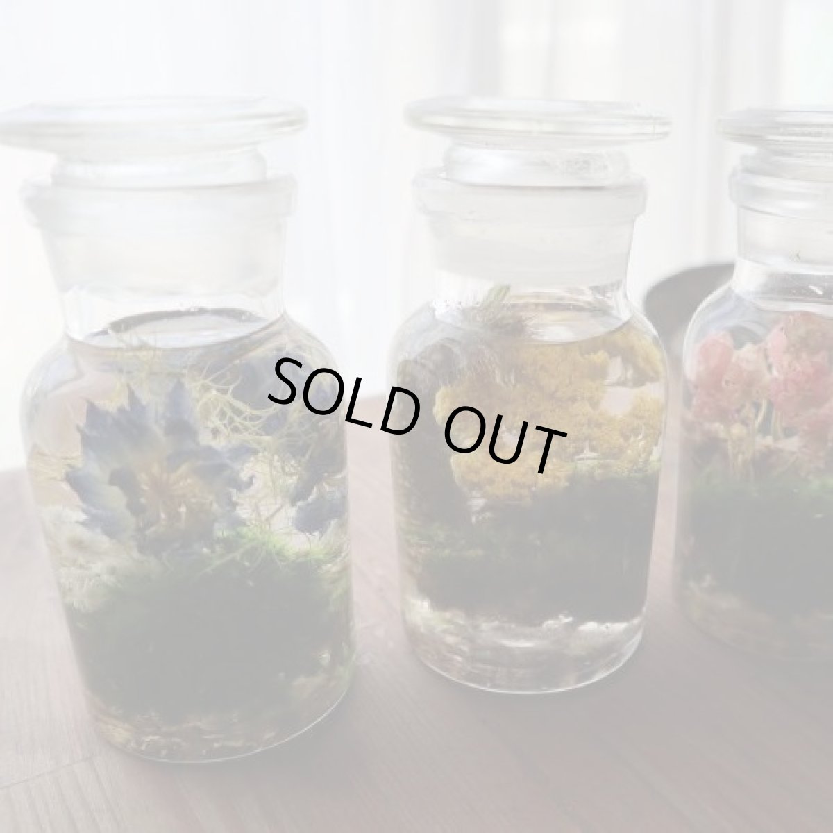 並べて飾るとこんな感じ