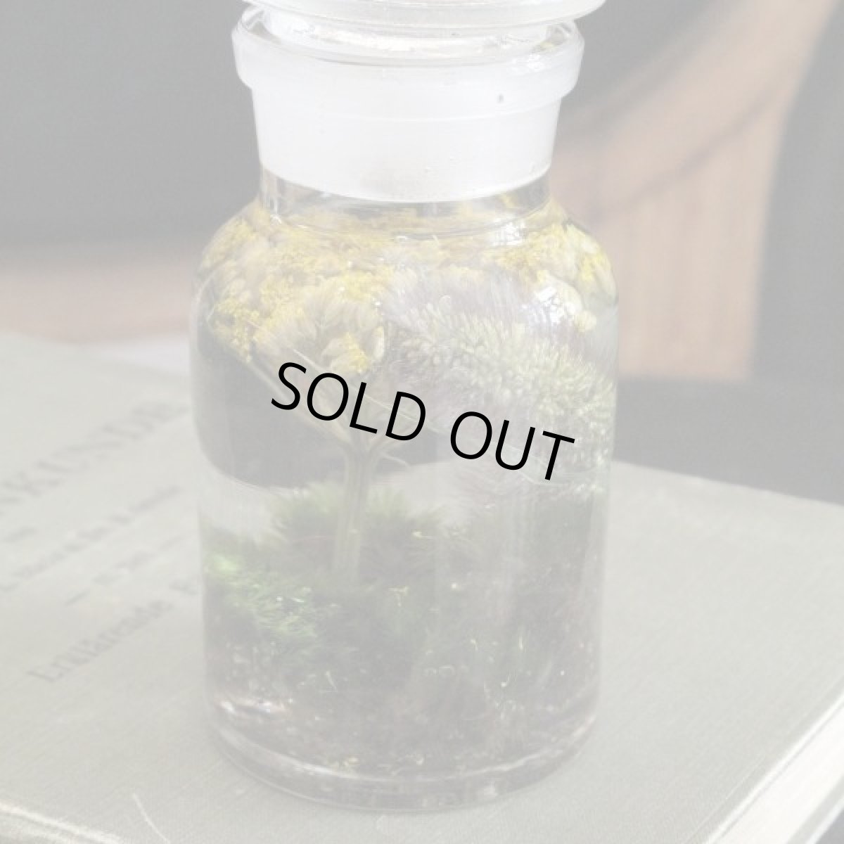 シャビーなイエロー系