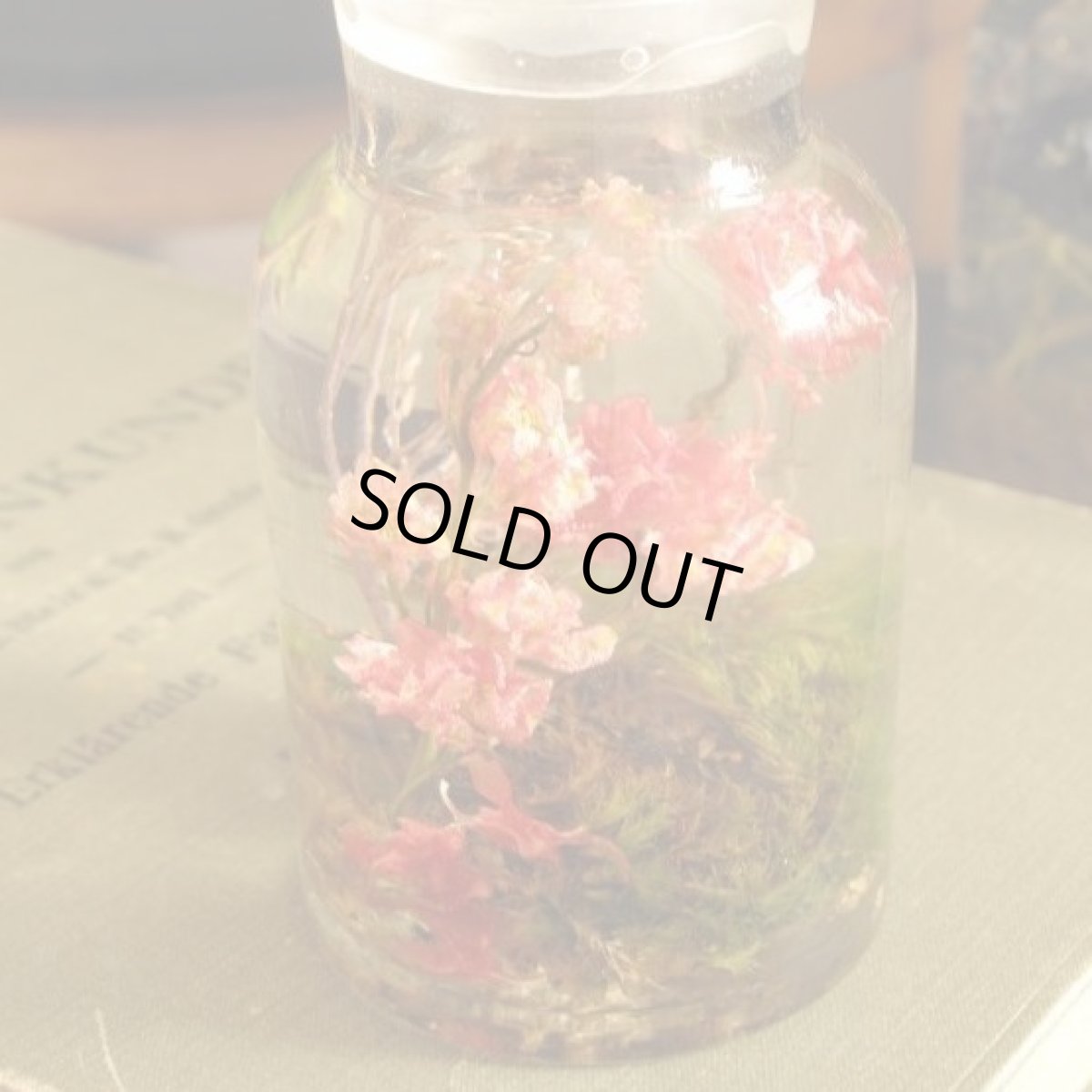 シックなピンク