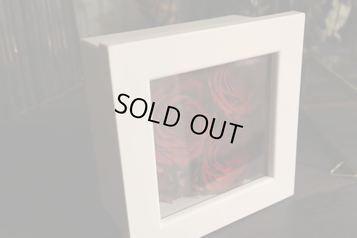 画像2: 生花のプリザーブドフラワー加工 Astrea（アストレア）フレーム (2)