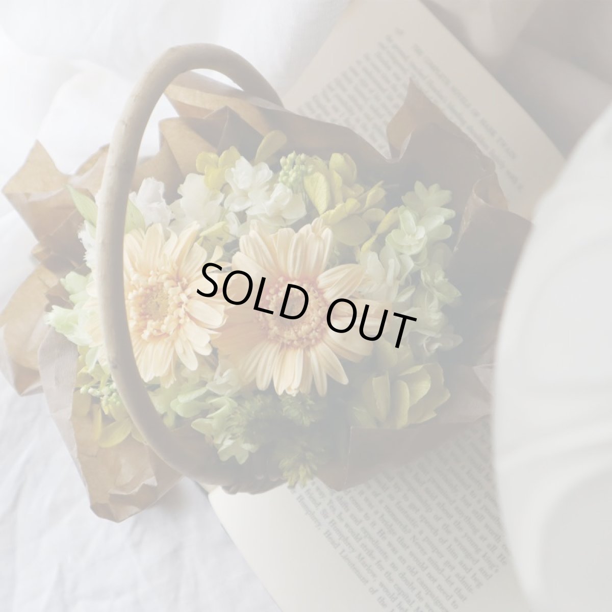 キュートなオレンジ