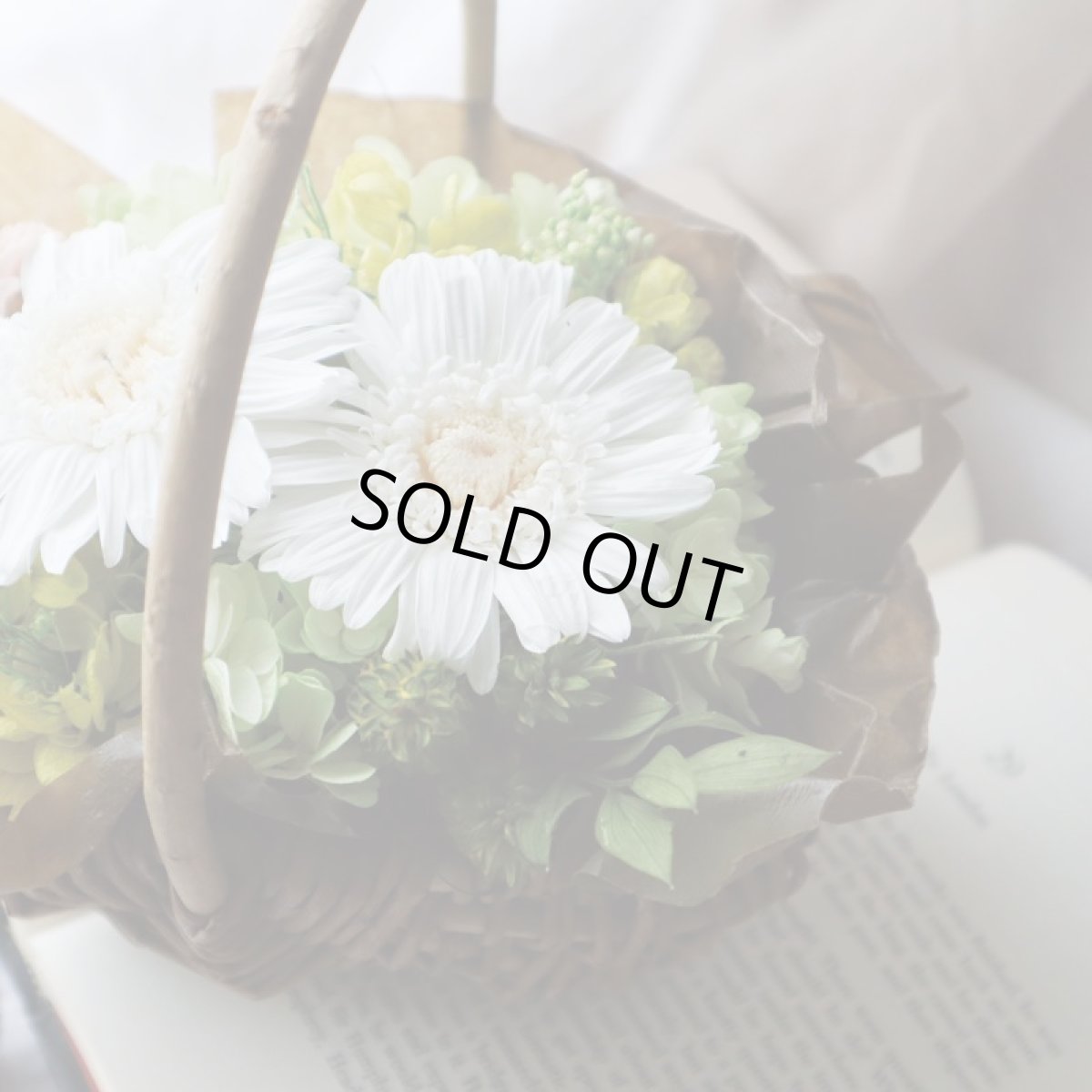 清楚なホワイト、ご結婚祝いやリングピローにも人気