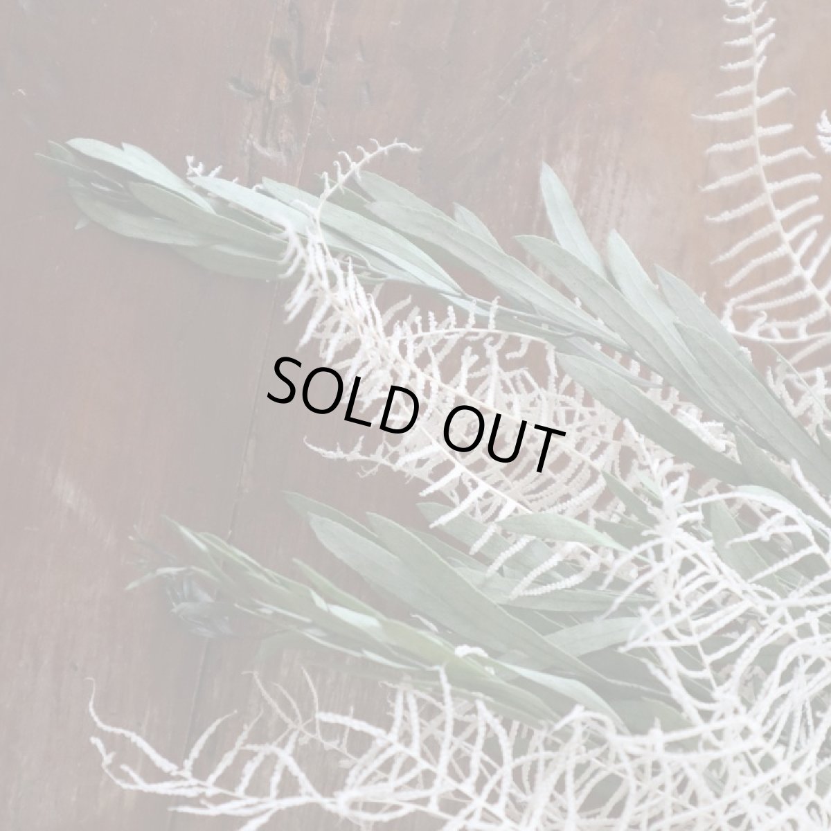 シースターファン