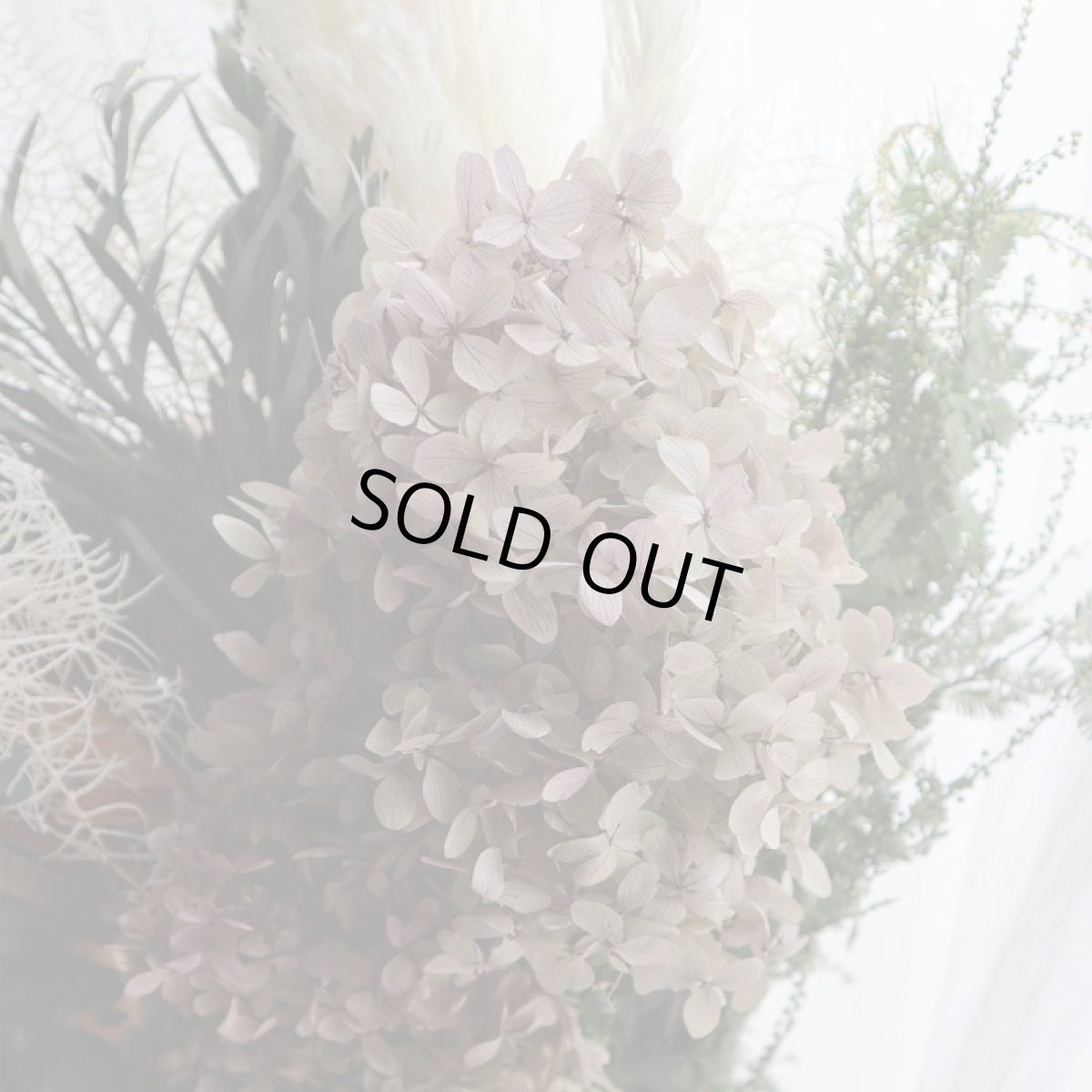 美しいピラミッドアジサイ