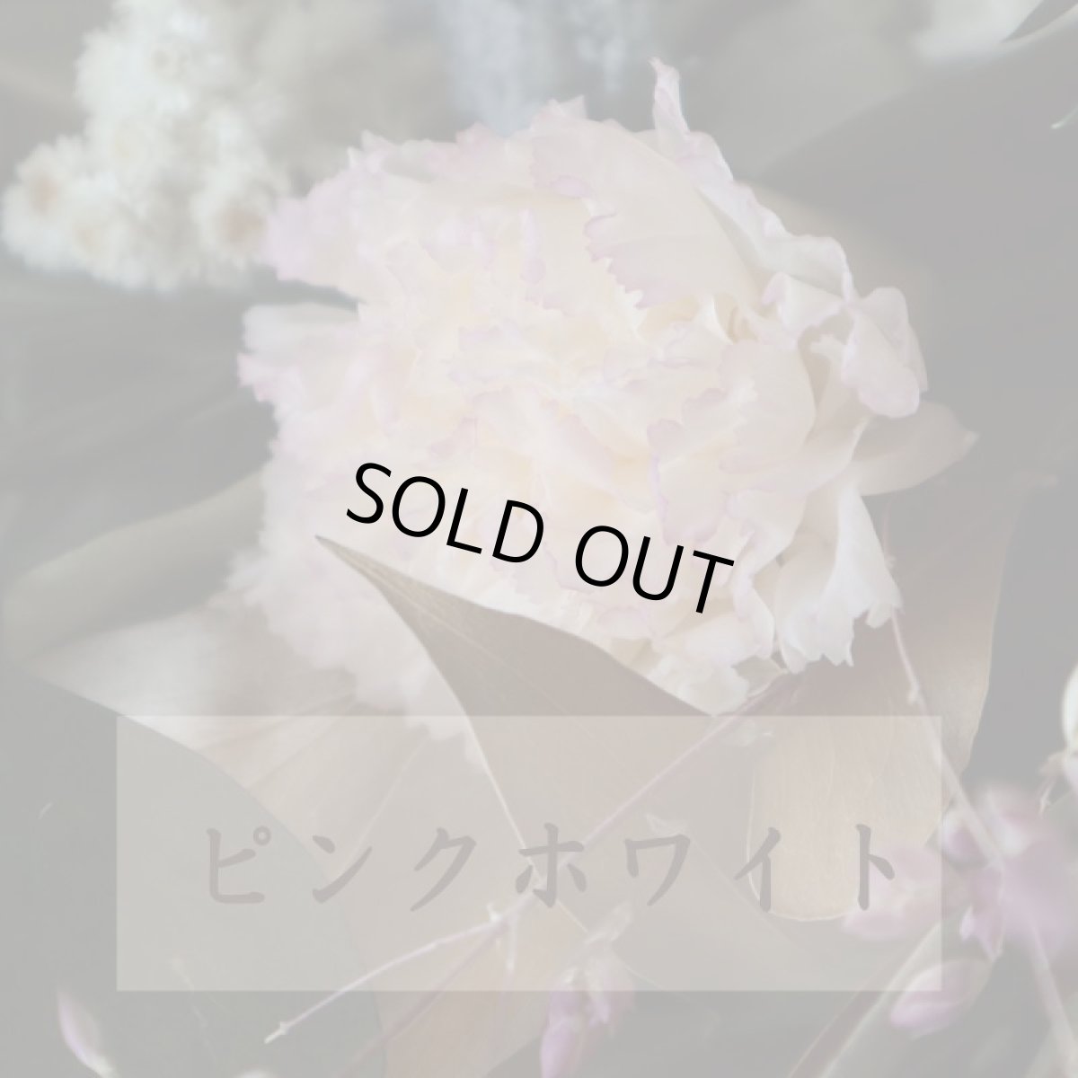 かわいいピンクホワイト