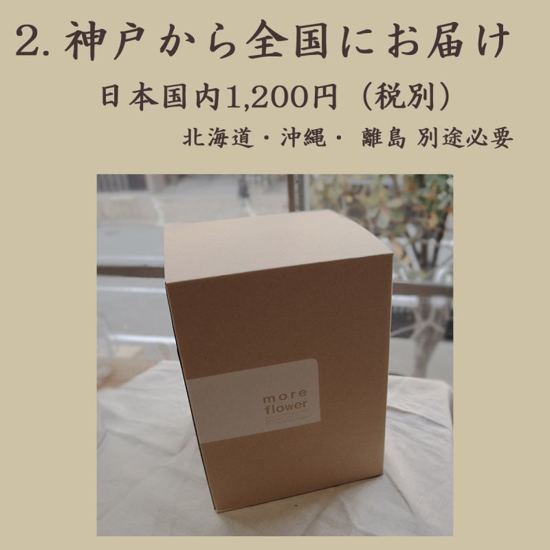 紫陽花ドライフラワー　75 北海道産　80サイズ